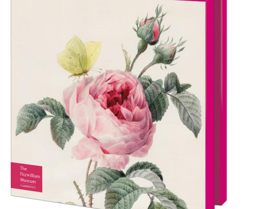 Buy Card Folder With Env Square Roses The Fitzwilliam Museum