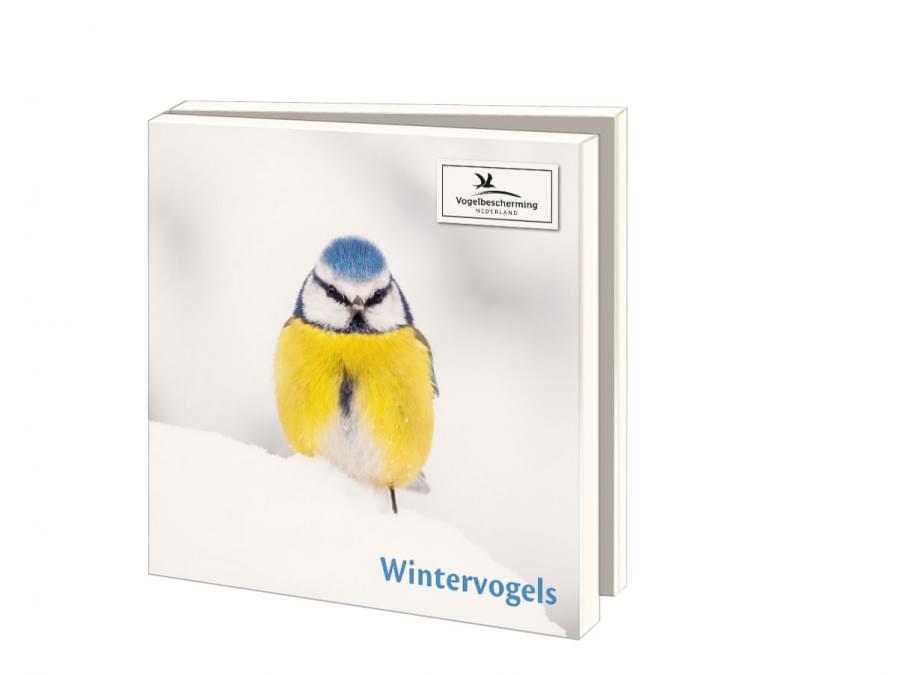 Buy Card Folder With Env Square Wintervogels Vogelbescherming