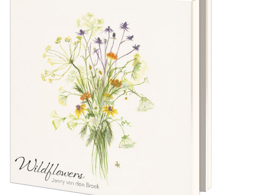 Buy Card Folder With Env Square Wildflower Janny Van Den Broek