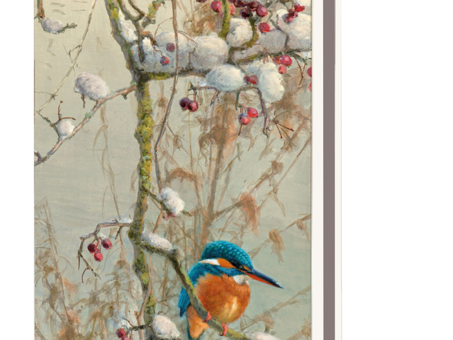 Buy Card Folder With Env Small Birds In The Snow Elwin Van Der Kolk