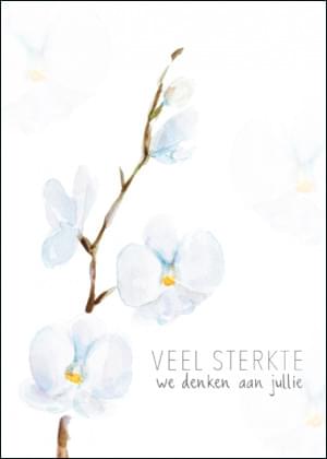 Veel sterkte. We denken aan jullie (magnolia), Michelle Dujardin