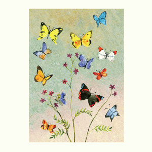 Butterflies Card by Anna Shuttlewood