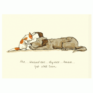 Get Well Soon Card by Anita Jeram