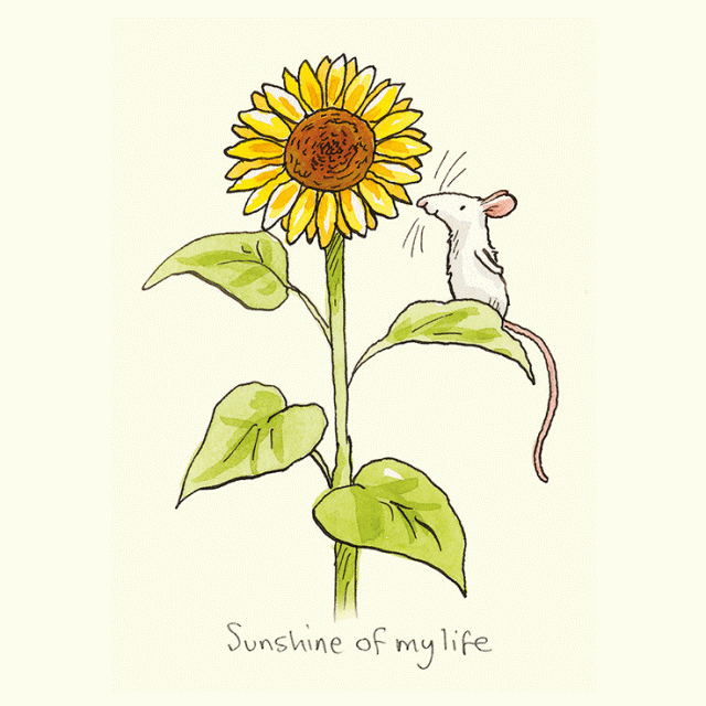 Sunshine of my life by Anita Jeram