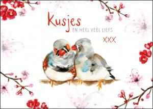 Kusjes en heel veel liefs, Michelle Dujardin