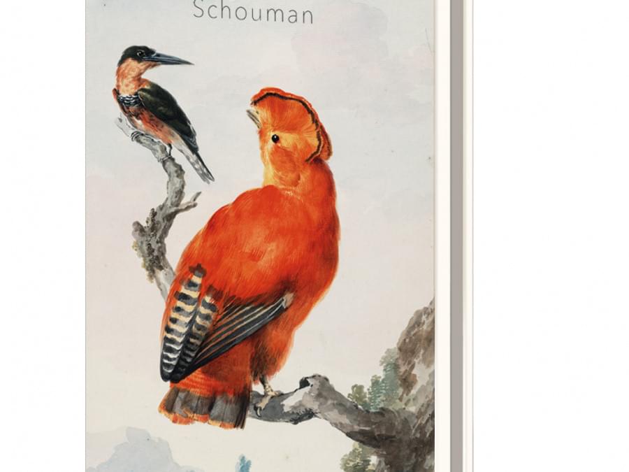 Grußkartenbox mit Umschläge - Groß: Aert Schouman, Teylers Museum kaufen
