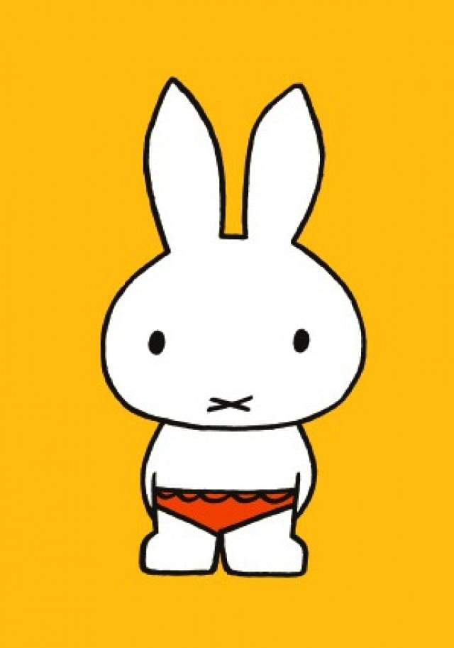 Nijntje - Miffy - Nijntje in zwembroek/ST, Dick Bruna