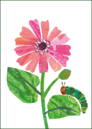 Flowers, The very hungry caterpillar, Eric Carle