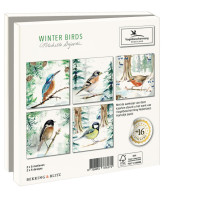 Kaartenmapje met env, vierkant: Winter Birds, Michelle Dujardin, Vogelbescherming