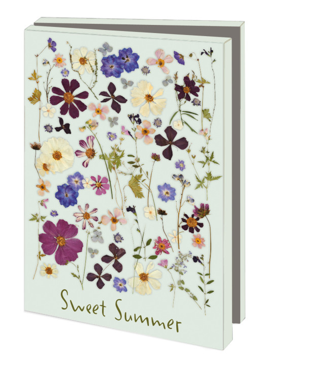 Kaartenmapje met env, klein: Sweet Summer, Janny van den Broek