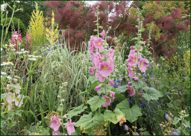 Great Dixter Gardens, Modeste Herwig