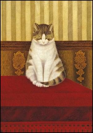 Cat sitting on a bed, Sal Meijer